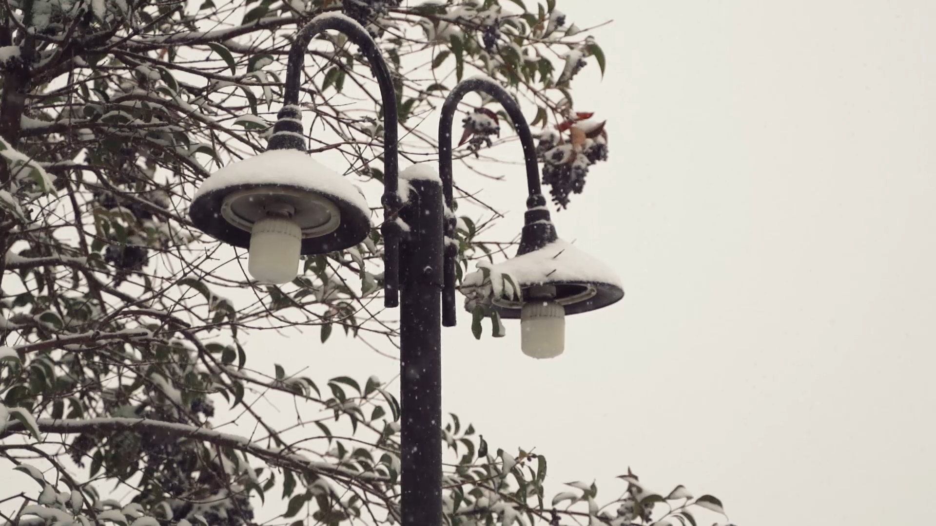 辛丑，立冬，初雪，和你。